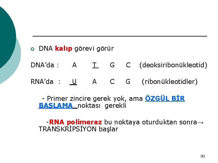 ¡ DNA kalıp görevi görür DNA’da : A T G C RNA’da : U