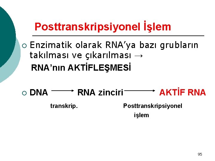 Posttranskripsiyonel İşlem ¡ ¡ Enzimatik olarak RNA’ya bazı grubların takılması ve çıkarılması → RNA’nın