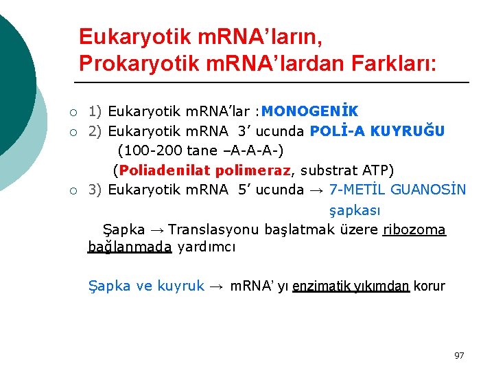 Eukaryotik m. RNA’ların, Prokaryotik m. RNA’lardan Farkları: ¡ ¡ ¡ 1) Eukaryotik m. RNA’lar