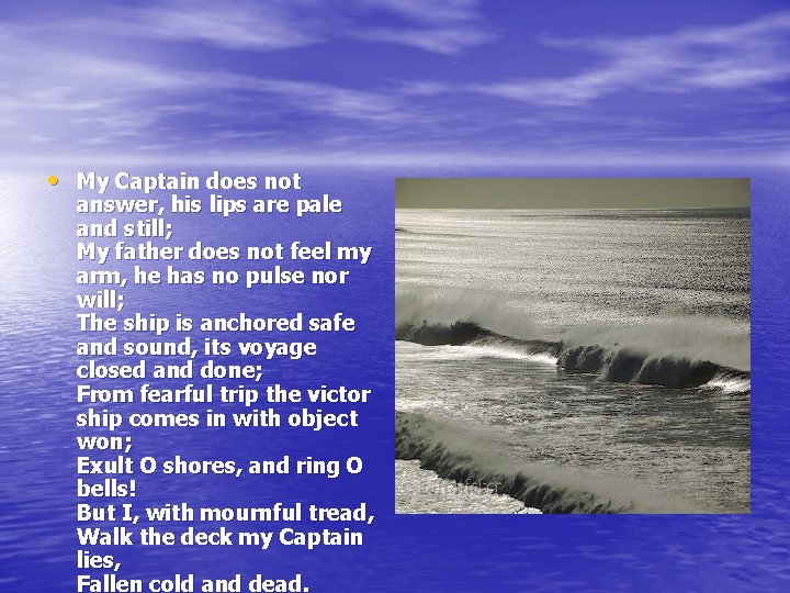• My Captain does not answer, his lips are pale and still; My • My Captain does not answer, his lips are pale and still; My