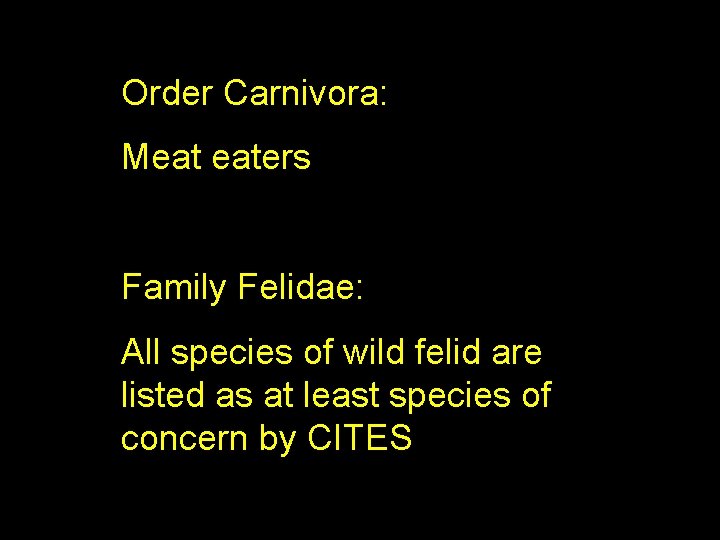 Order Carnivora: Meat eaters Family Felidae: All species of wild felid are listed as