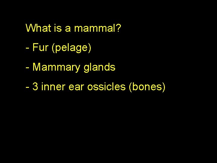 What is a mammal? - Fur (pelage) - Mammary glands - 3 inner ear