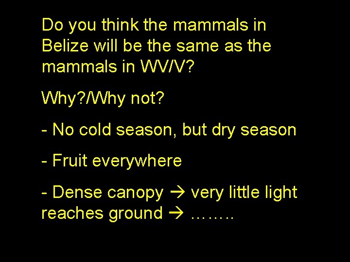 Do you think the mammals in Belize will be the same as the mammals