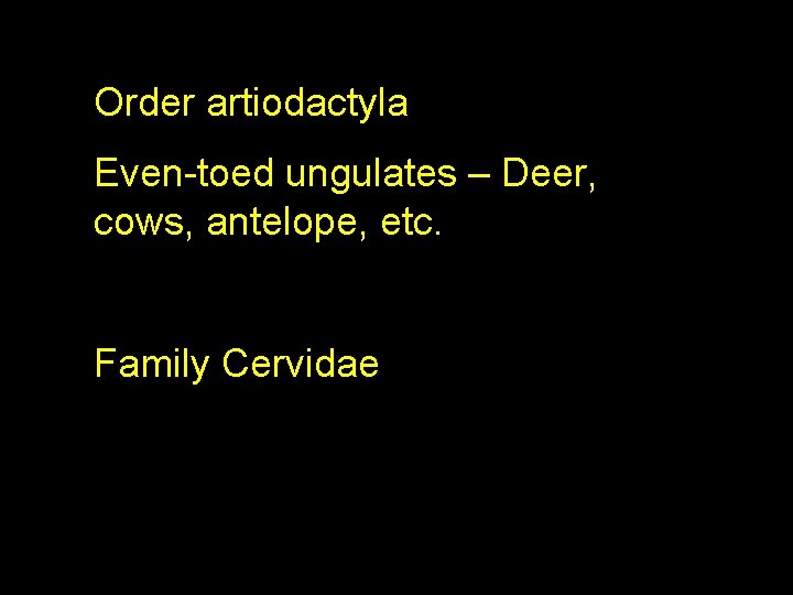 Order artiodactyla Even-toed ungulates – Deer, cows, antelope, etc. Family Cervidae 