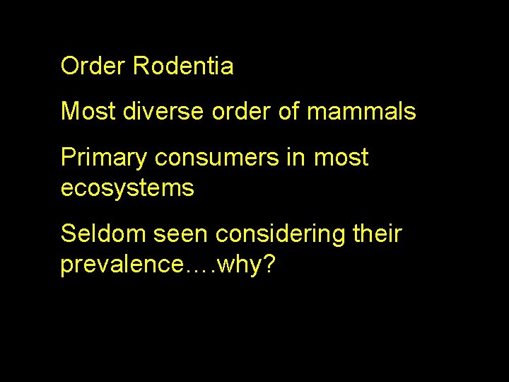 Order Rodentia Most diverse order of mammals Primary consumers in most ecosystems Seldom seen