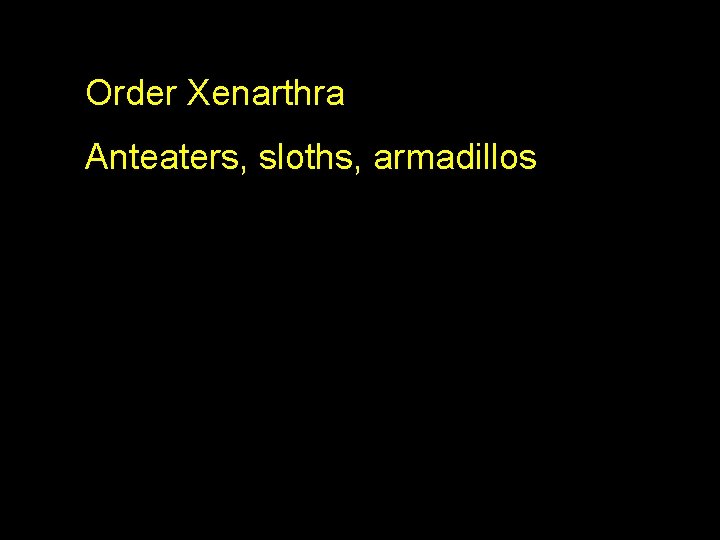 Order Xenarthra Anteaters, sloths, armadillos 
