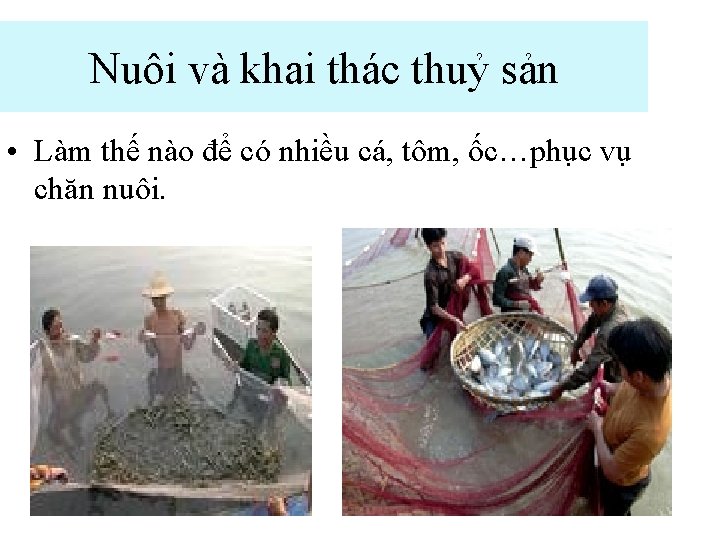 Nuôi và khai thác thuỷ sản • Làm thế nào để có nhiều cá,