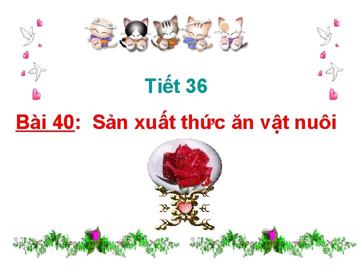 Tiết 36 Bài 40: Sản xuất thức ăn vật nuôi 