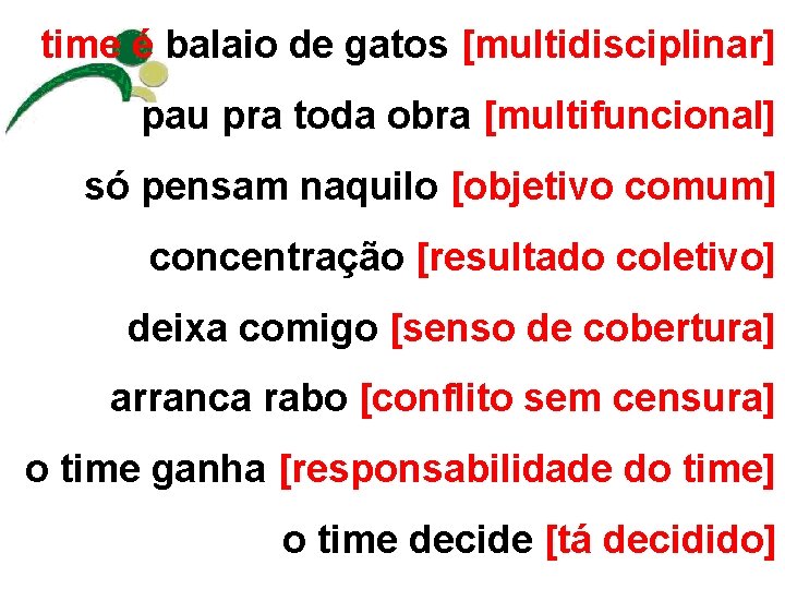 time é balaio de gatos [multidisciplinar] pau pra toda obra [multifuncional] só pensam naquilo