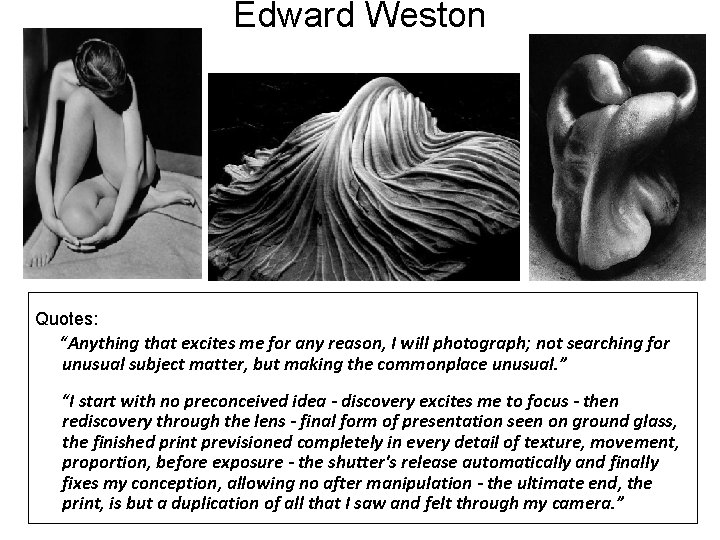 Edward Weston Quotes: “Anything that excites me for any reason, I will photograph; not