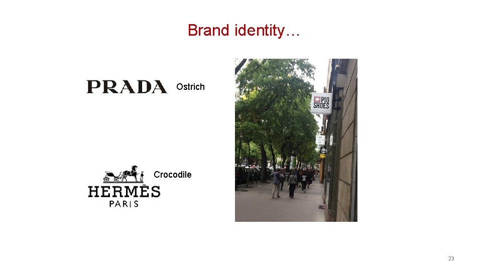 prada brand identity
