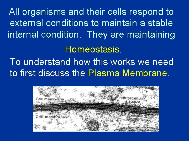All organisms and their cells respond to external conditions to maintain a stable internal