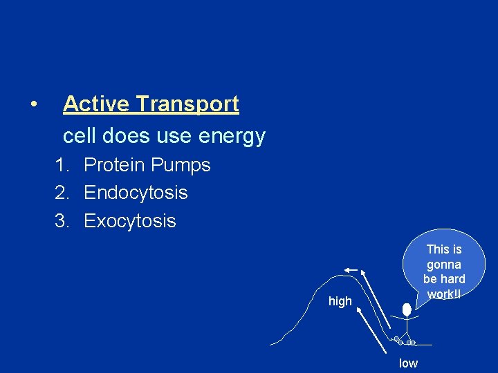  • Active Transport cell does use energy 1. Protein Pumps 2. Endocytosis 3.