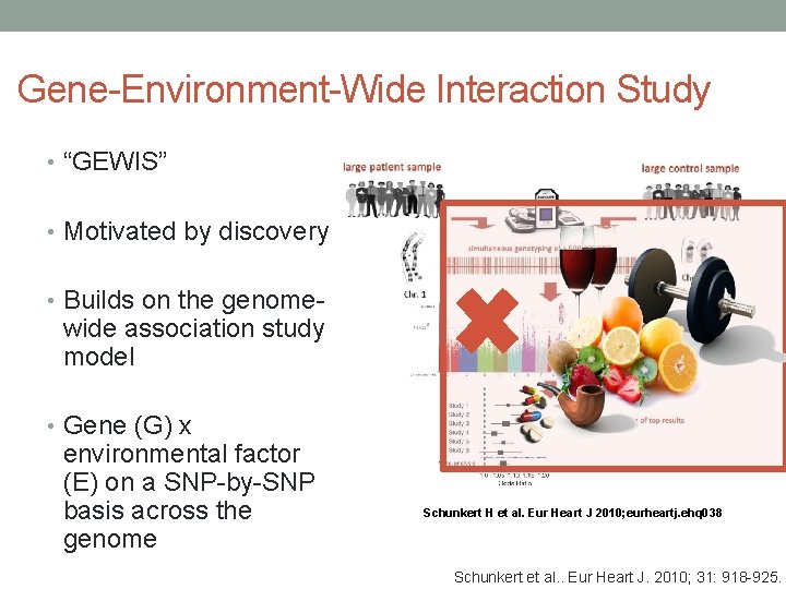 Gene-Environment-Wide Interaction Study • “GEWIS” • Motivated by discovery • Builds on the genome-