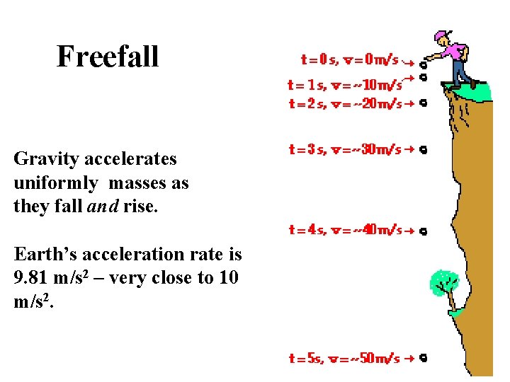 Freefall Gravity accelerates uniformly masses as they fall and rise. Earth’s acceleration rate is