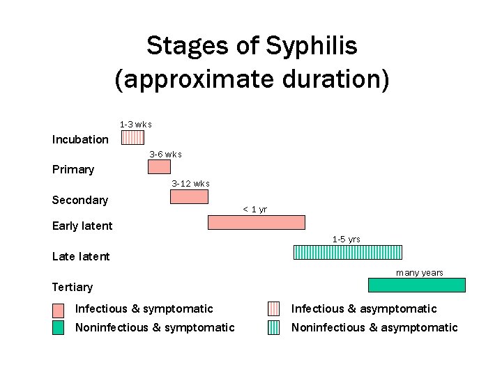 Stages of Syphilis (approximate duration) 1 -3 wks Incubation 3 -6 wks Primary 3