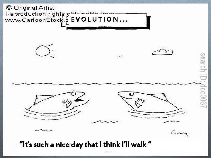 EVOLUTION. . . ‘’It’s such a nice day that I think I’ll walk ‘’