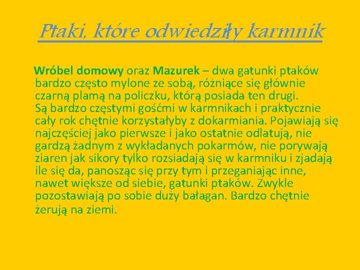 Ptaki, które odwiedziły karmnik Wróbel domowy oraz Mazurek – dwa gatunki ptaków bardzo często