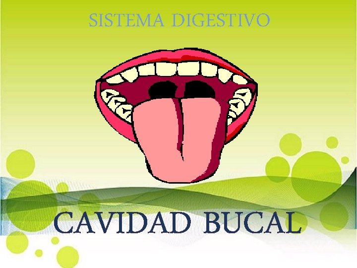 SISTEMA DIGESTIVO CAVIDAD BUCAL 