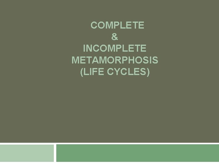 COMPLETE & INCOMPLETE METAMORPHOSIS (LIFE CYCLES) 