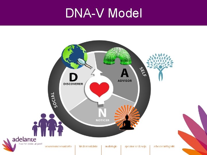 DNA-V Model 
