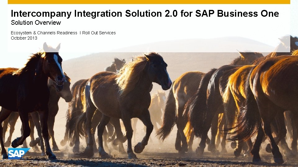 Intercompany Integration Solution 2. 0 for SAP Business One Solution Overview Ecosystem & Channels