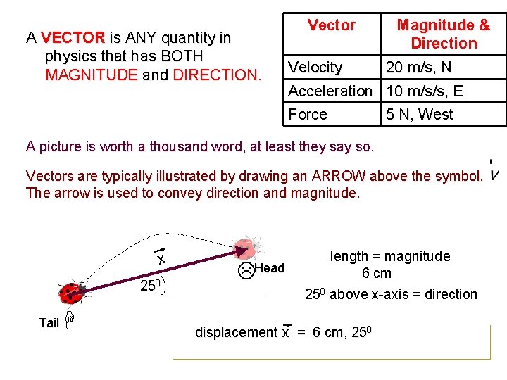 A VECTOR is ANY quantity in physics that has BOTH MAGNITUDE and DIRECTION. Vector