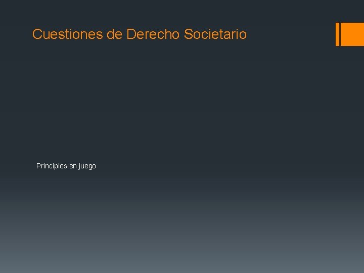 Cuestiones de Derecho Societario Principios en juego 