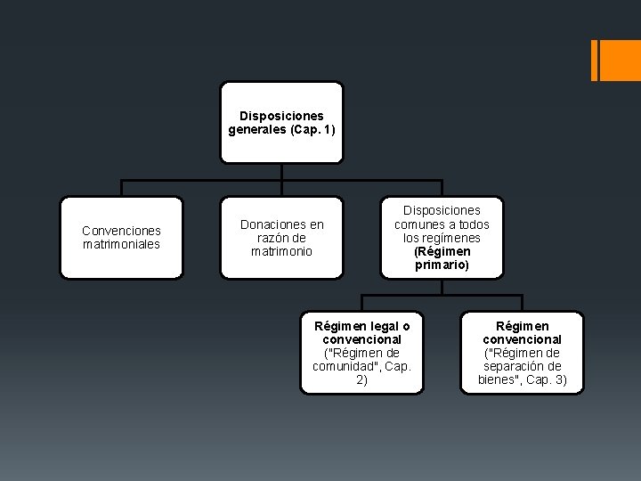 Disposiciones generales (Cap. 1) Convenciones matrimoniales Donaciones en razón de matrimonio Disposiciones comunes a