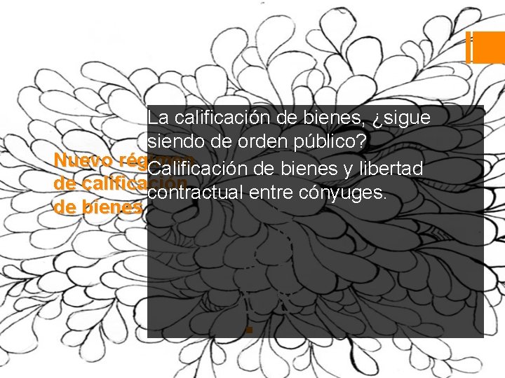 ▪ Otras características La calificación de bienes, ¿sigue siendo de orden público? Nuevo régimen