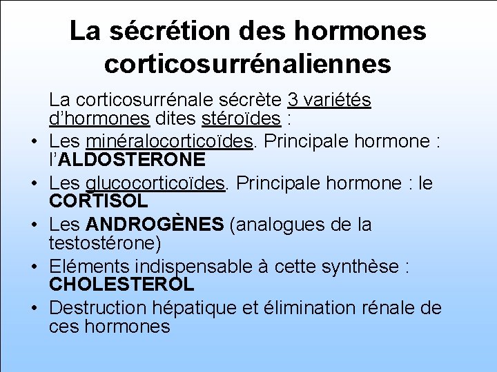 La sécrétion des hormones corticosurrénaliennes • • • La corticosurrénale sécrète 3 variétés d’hormones