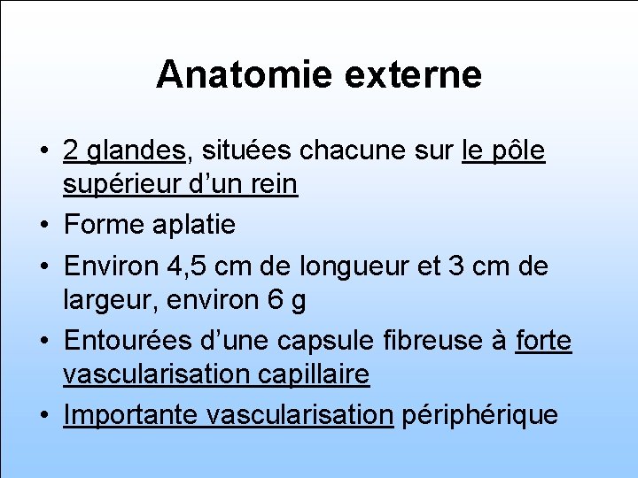 Anatomie externe • 2 glandes, situées chacune sur le pôle supérieur d’un rein •