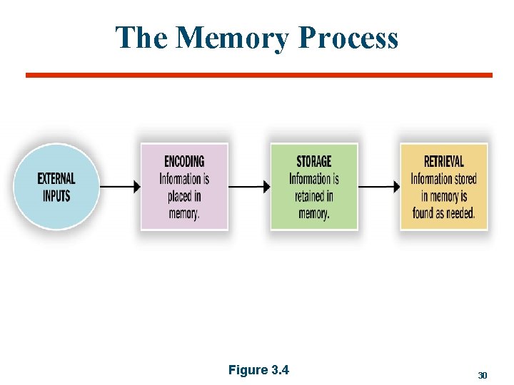 The Memory Process Figure 3. 4 30 