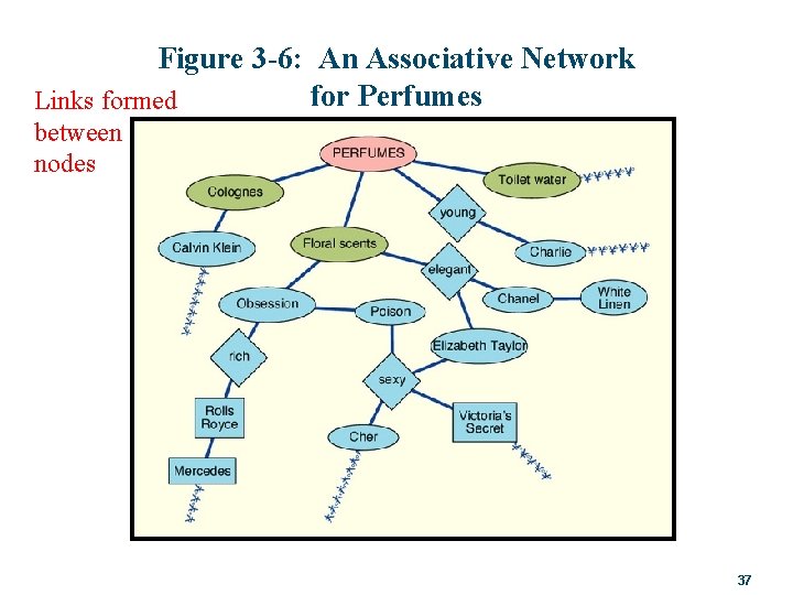 Figure 3 -6: An Associative Network for Perfumes Links formed between nodes 37 