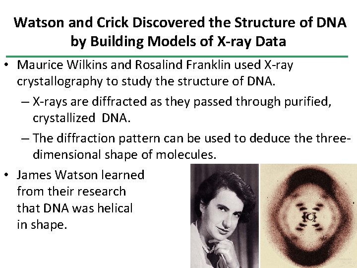 Watson and Crick Discovered the Structure of DNA by Building Models of X-ray Data Watson and Crick Discovered the Structure of DNA by Building Models of X-ray Data