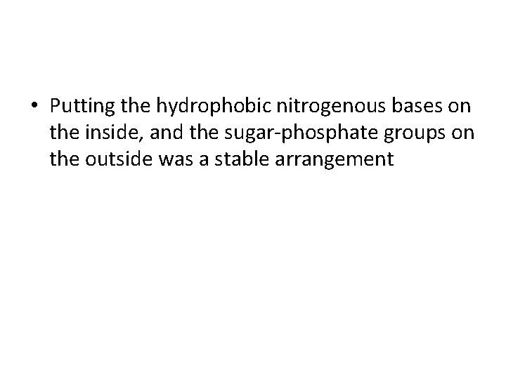 • Putting the hydrophobic nitrogenous bases on the inside, and the sugar-phosphate groups • Putting the hydrophobic nitrogenous bases on the inside, and the sugar-phosphate groups