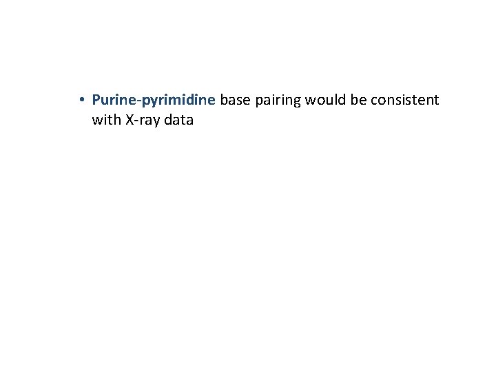 • Purine-pyrimidine base pairing would be consistent with X-ray data • Purine-pyrimidine base pairing would be consistent with X-ray data