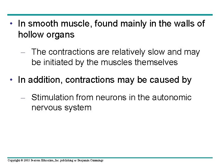  • In smooth muscle, found mainly in the walls of hollow organs –