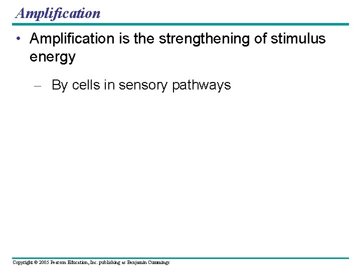 Amplification • Amplification is the strengthening of stimulus energy – By cells in sensory