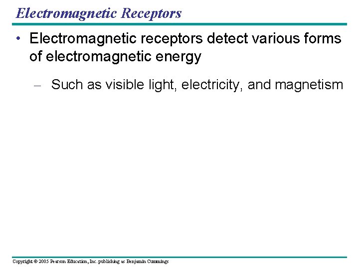 Electromagnetic Receptors • Electromagnetic receptors detect various forms of electromagnetic energy – Such as