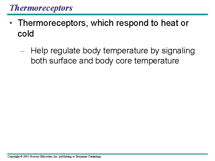 Thermoreceptors • Thermoreceptors, which respond to heat or cold – Help regulate body temperature