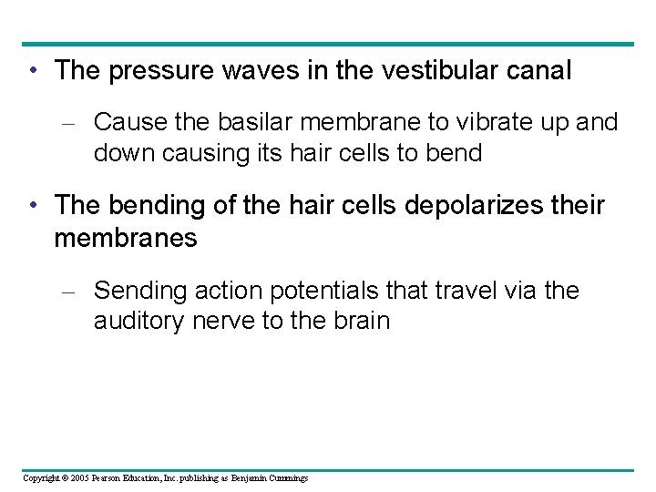  • The pressure waves in the vestibular canal – Cause the basilar membrane