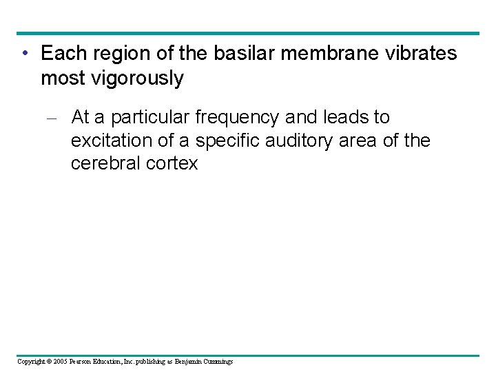  • Each region of the basilar membrane vibrates most vigorously – At a