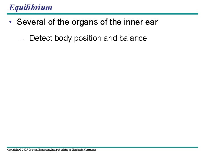 Equilibrium • Several of the organs of the inner ear – Detect body position