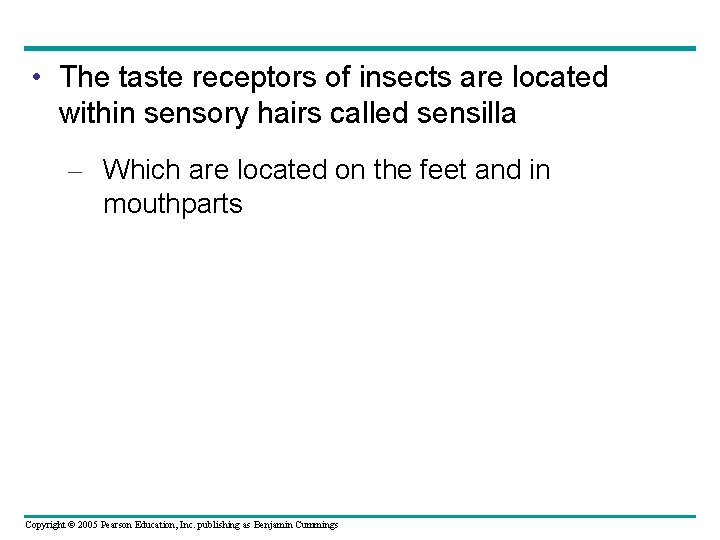  • The taste receptors of insects are located within sensory hairs called sensilla