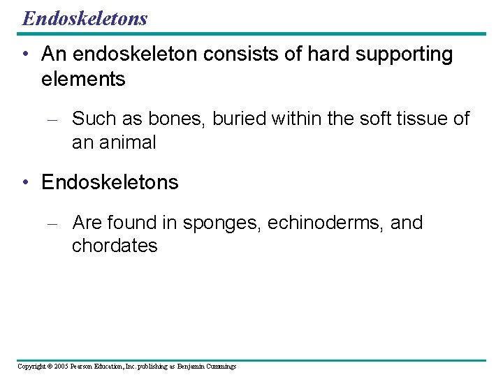 Endoskeletons • An endoskeleton consists of hard supporting elements – Such as bones, buried