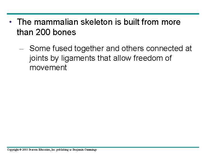  • The mammalian skeleton is built from more than 200 bones – Some