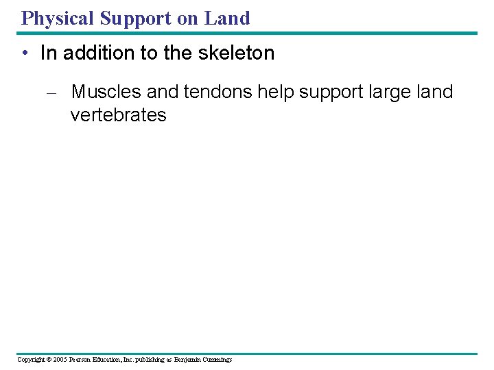 Physical Support on Land • In addition to the skeleton – Muscles and tendons