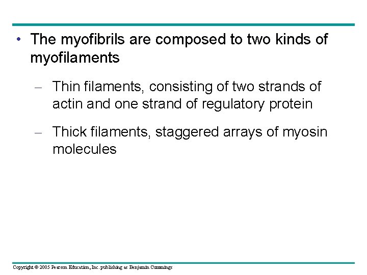  • The myofibrils are composed to two kinds of myofilaments – Thin filaments,