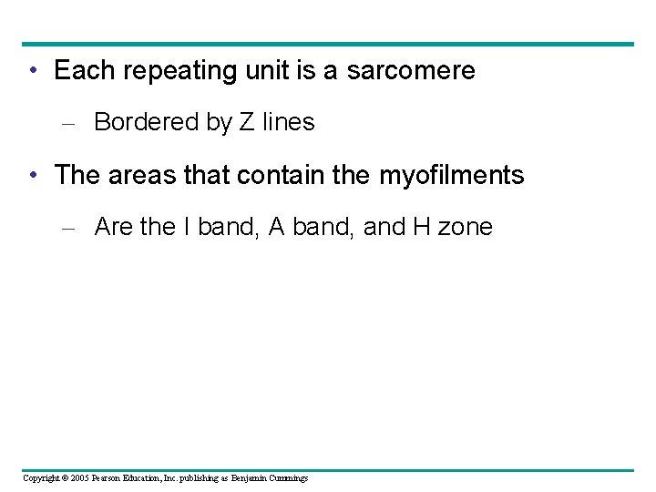  • Each repeating unit is a sarcomere – Bordered by Z lines •